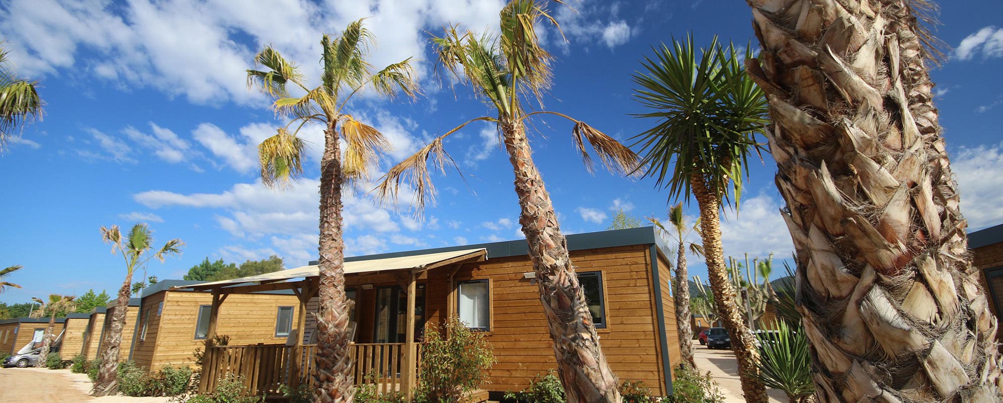 palmiers devant mobil-home Marvilla en bois sous le ciel bleu