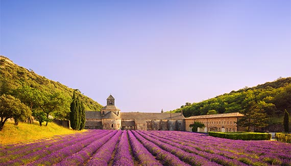 Paysage de Provence en France