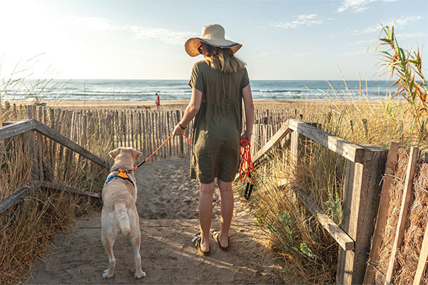 Chien allant à la plage du camping avec sa maitresse