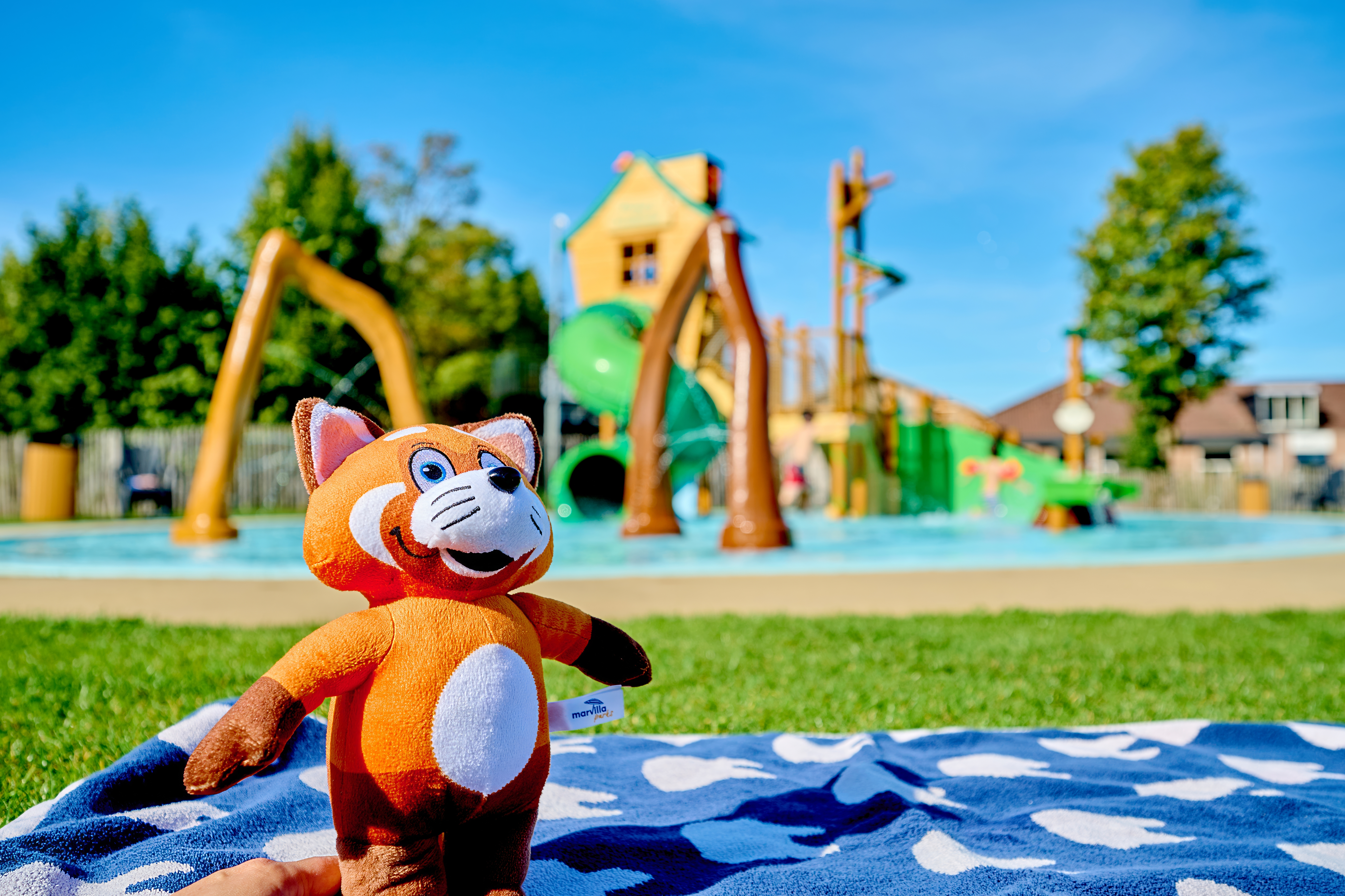 Header-marvilla-desktop-page-réglement