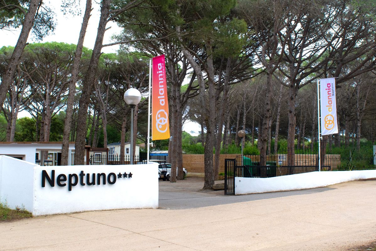 Campsite Alannia Neptuno, Spain, Costa Brava, Pals
