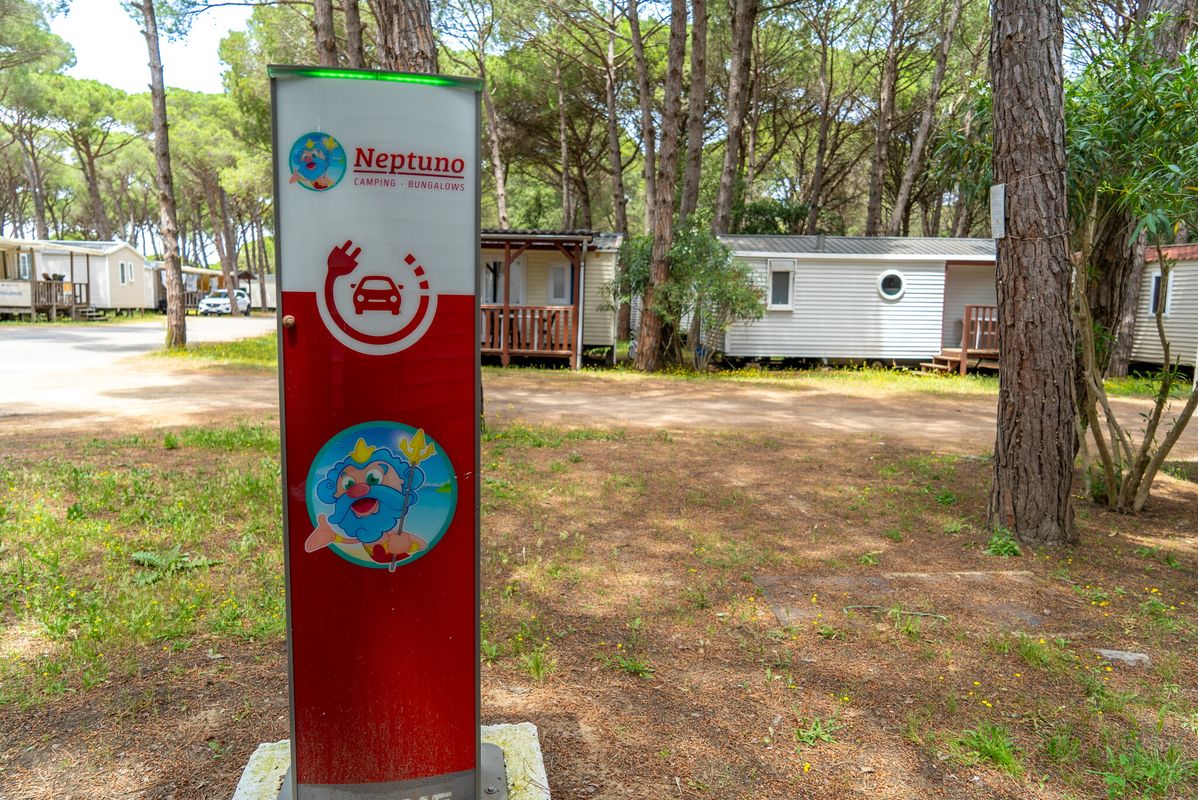 Camping Neptuno, Spanje, Costa Brava, Pals