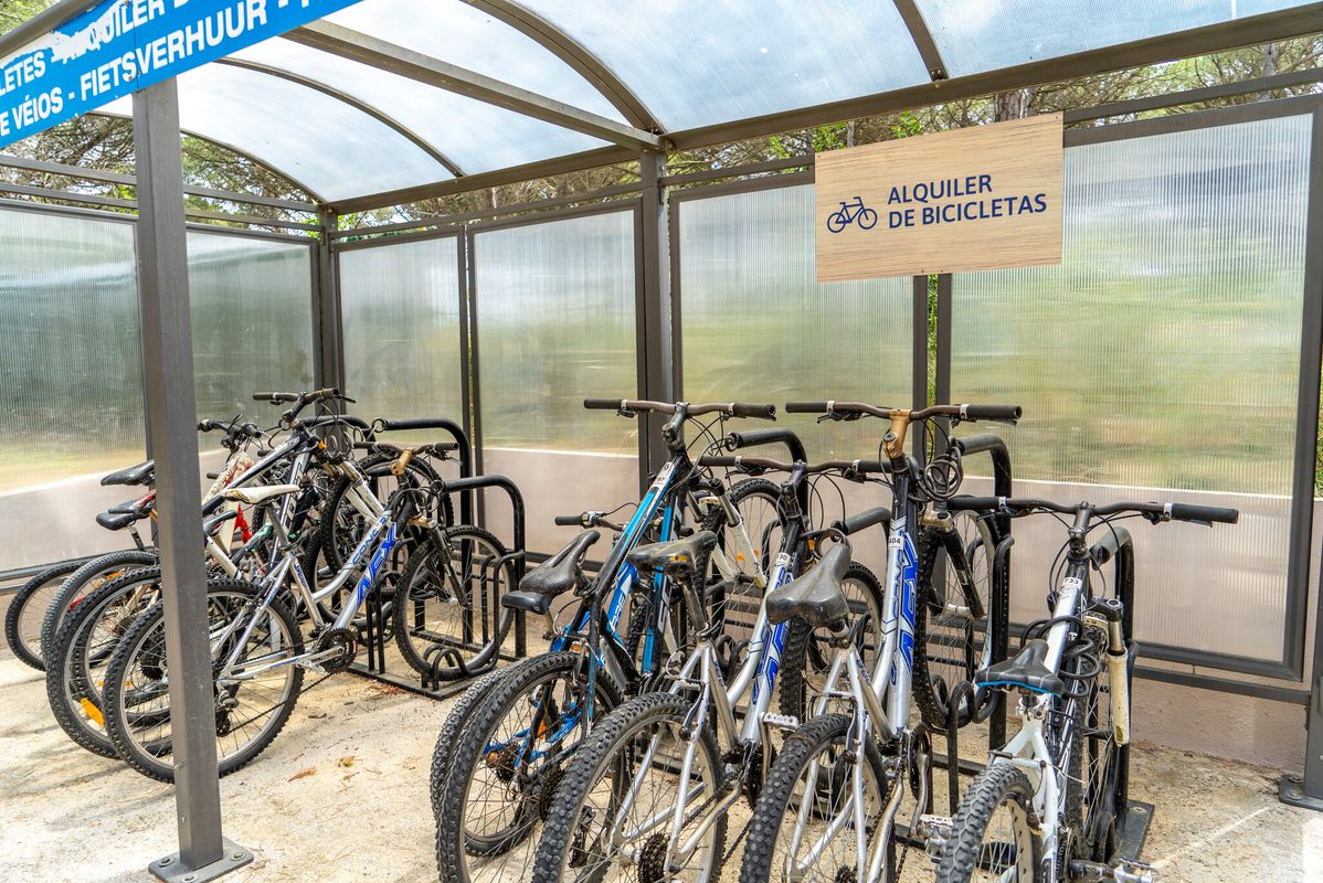 Camping Neptuno, Spanje, Costa Brava, Pals