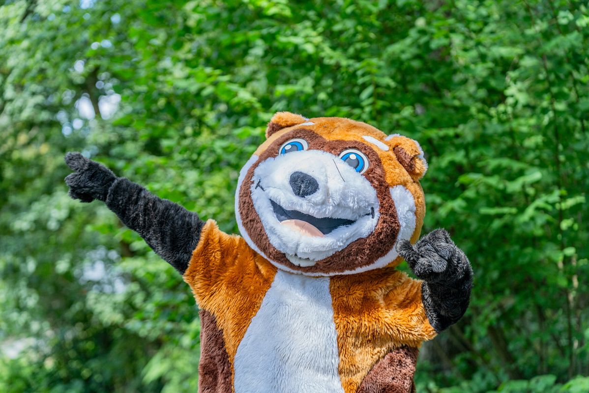 Camping Lac des Vieilles Forges, Frankrijk, Ardennen, Les Mazures