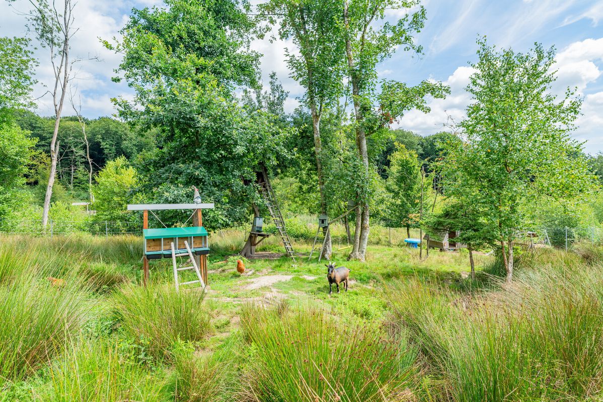 Camping Lac des Vieilles Forges, Frankrijk, Ardennen, Les Mazures