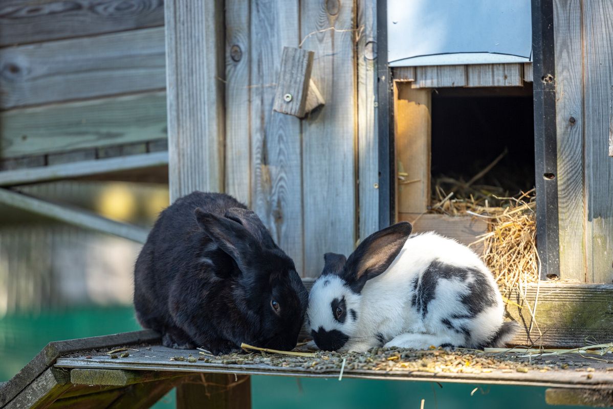 Camping La Grande Métairie, Frankrijk, Bretagne