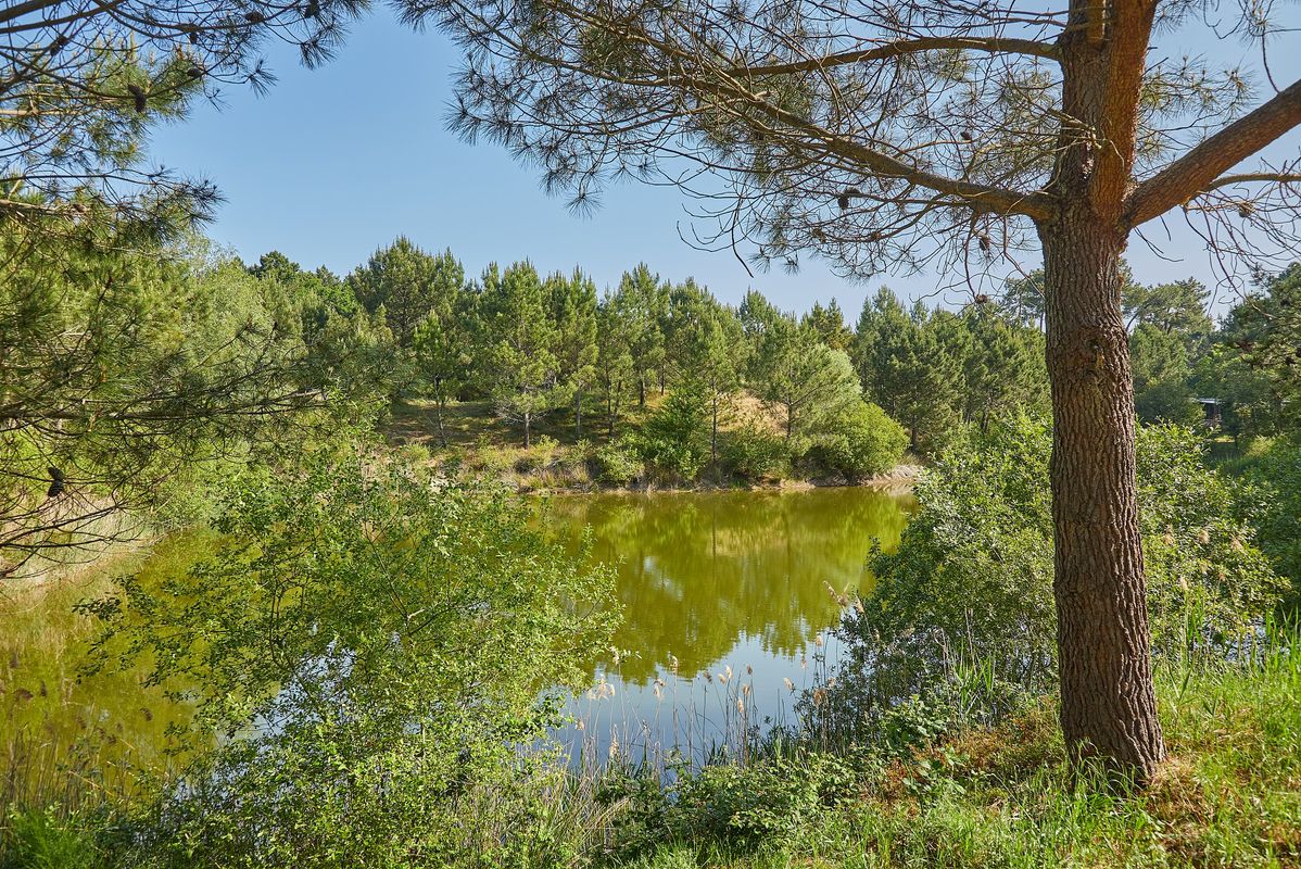 Campsite La Pinède, France, Charente Maritime