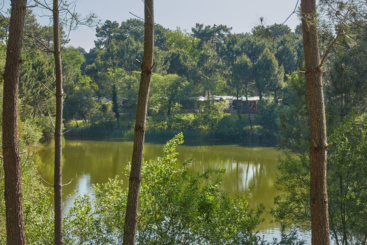 Campsite La Pinède, France, Charente Maritime