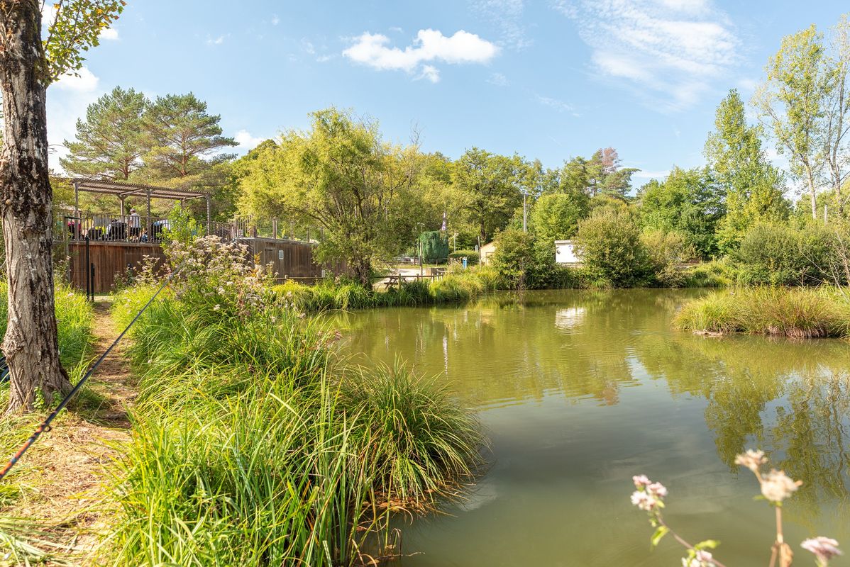 Camping Le Val d'Ussel, France, Dordogne - Périgord, Proissans - Sarlat