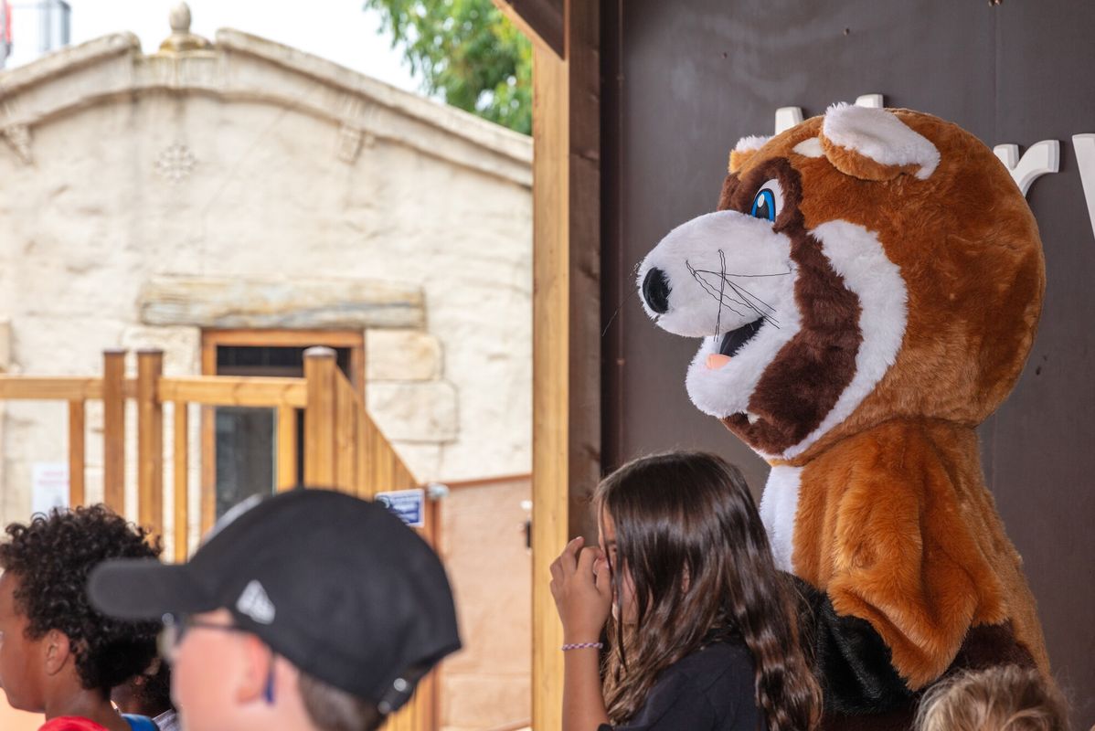 Campingplatz La Presqu'Île du Barcarès, Frankreich, Languedoc Roussillon, Le Barcarès
