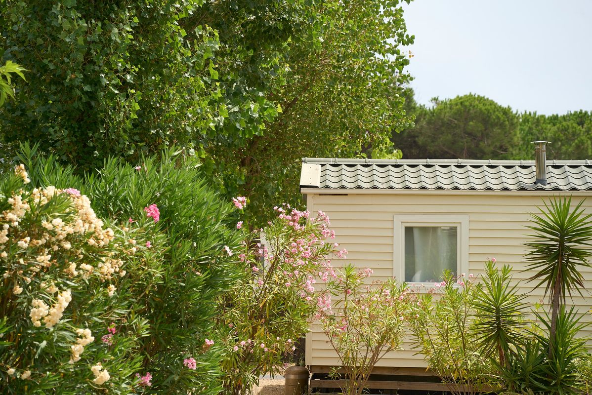 Campsite Dunes et Soleil, France, Languedoc Roussillon, Marseillan