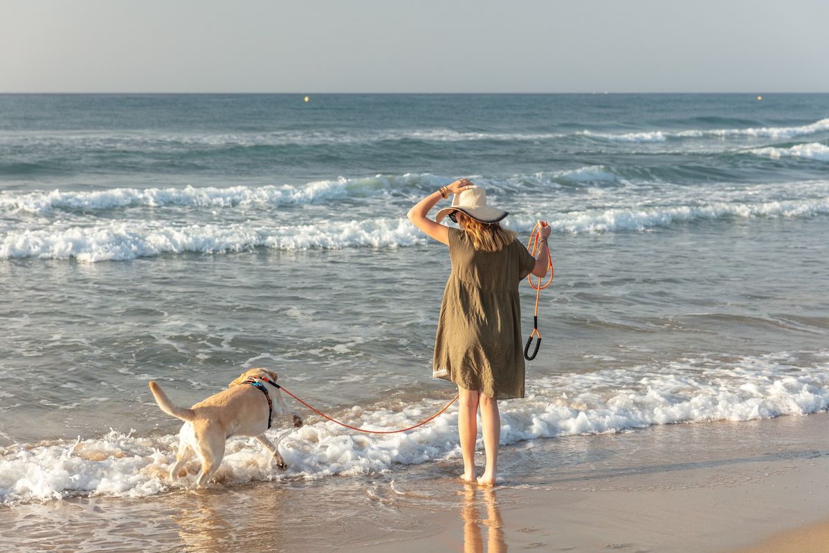 Camping Le Castellas, France, Languedoc Roussillon, Sète