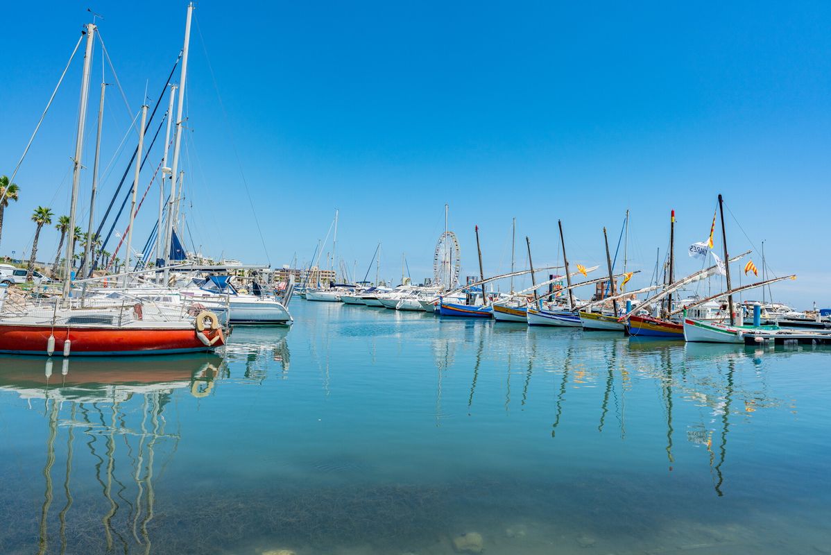Campsite La Palmeraie, France, Languedoc Roussillon