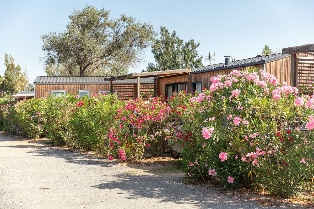 Campsite Les Dunes, France, Languedoc Roussillon