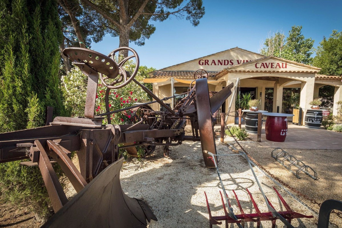 Visite du domaine viticole: Activité proposée par nos partenaires en accès direct depuis le camping. - Camping Domaine La Yole, France, Languedoc Roussillon, Valras-Plage