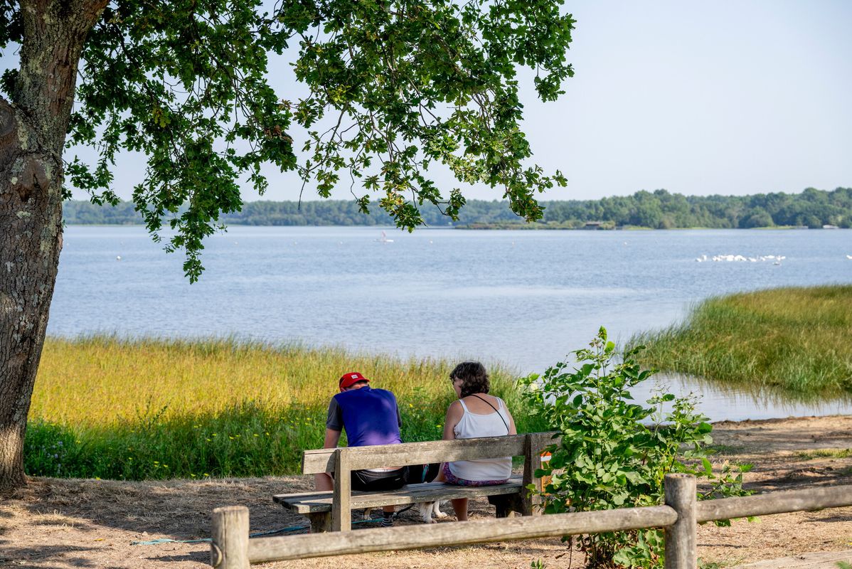 Camping Rivages des Landes, France, Les Landes, Aureilhan