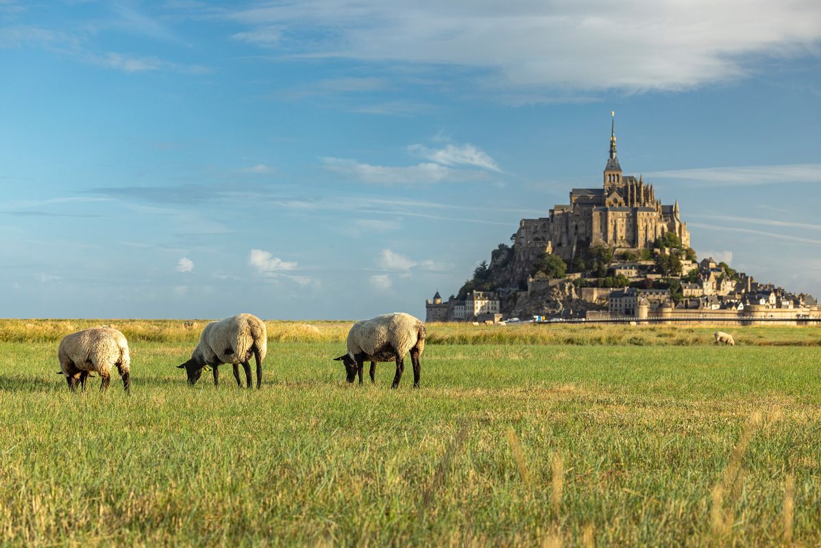 Découvrez le Mont St-Michel à seulement 4km !  - Camping Les Pommiers du Mont Saint Michel, France, Normandie, Mont Saint Michel