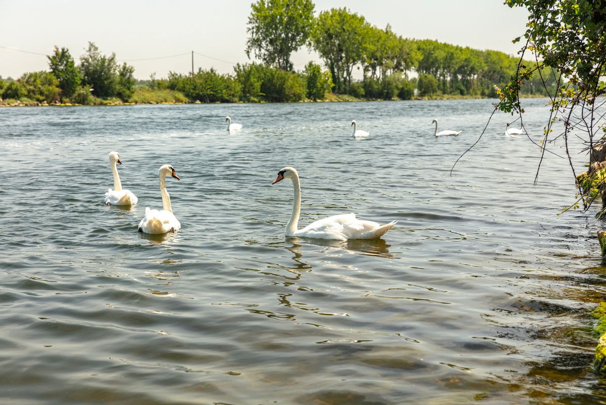 Campsite Riva Bella, France, Normandy