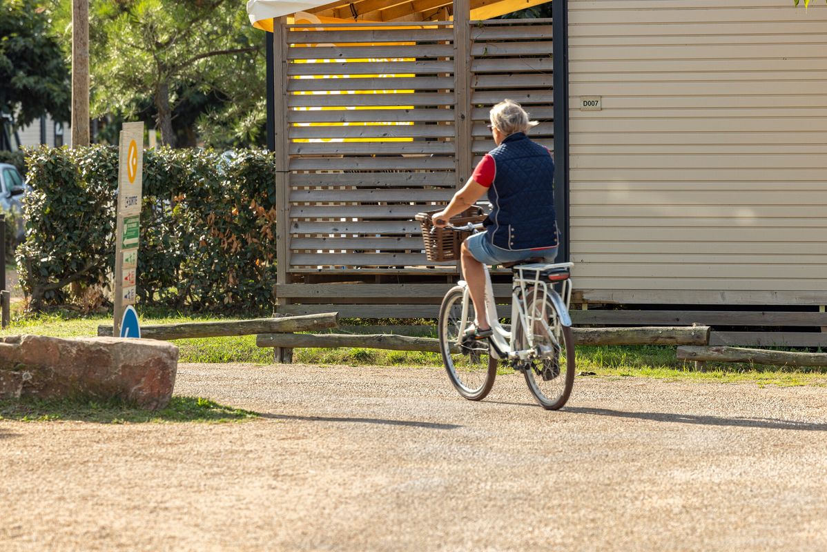 Camping Les Chardons Bleus de la Turballe, France, Pays de la Loire, La Turballe