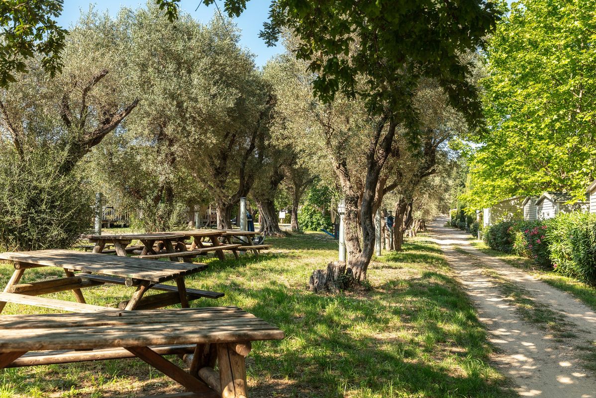 Camping La Baie des Anges, France, Provence Côte d'Azur, La Ciotat