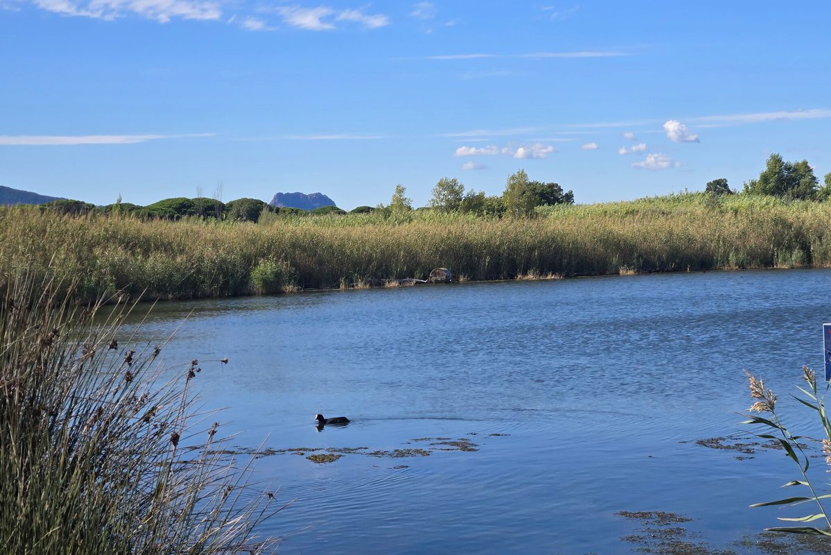 Campsite La Plage d'Argens, France, Provence French Riviera