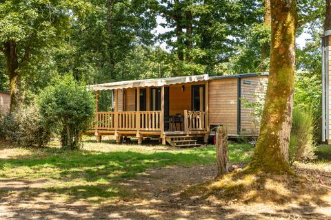 induktionskochfeld camper Induktionskochfeld, diverse Grssen  Campingwelt24