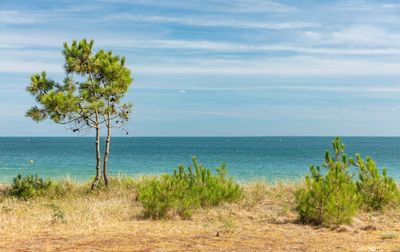 Camping Les Menhirs, France, Bretagne, Carnac