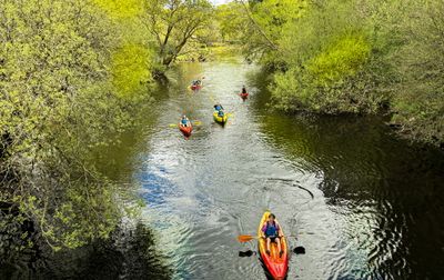 Sur place, profitez de la rivière pour encore plus de plaisir ! - Camping Ty Nadan, France, Bretagne, Locunolé
