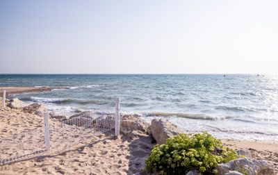 Profitez de l'accès direct à la plage ! - Camping La Côte Sauvage, France, Charente Maritime, Ile de Ré
