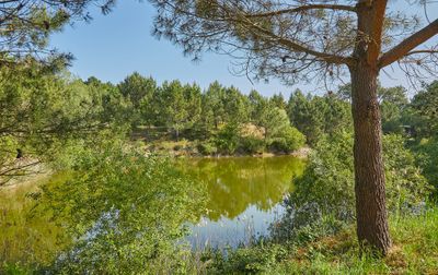 Campsite La Pinède, France, Charente Maritime