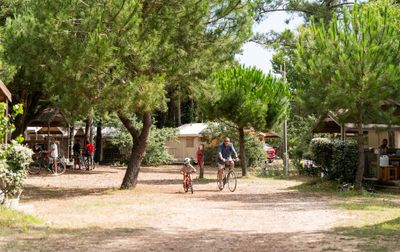 Campsite La Côte Sauvage, France, Charente Maritime
