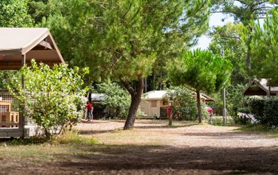 Campsite La Côte Sauvage, France, Charente Maritime