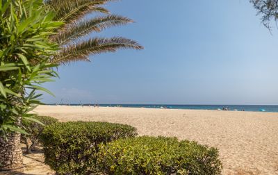 Campingplatz CAMPING LE NEPTUNE, Frankreich, Languedoc Roussillon, Argelès sur Mer