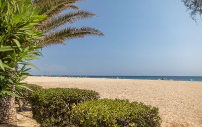 Campsite Le Neptune, France, Languedoc Roussillon, Argelès sur Mer