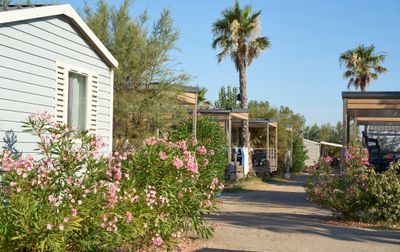 Camping Le Palavas, Frankrijk, Languedoc Roussillon