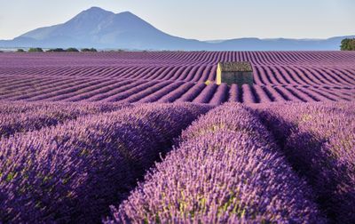 Camping Verdon Parc, Frankrijk, Provence Côte d'Azur
